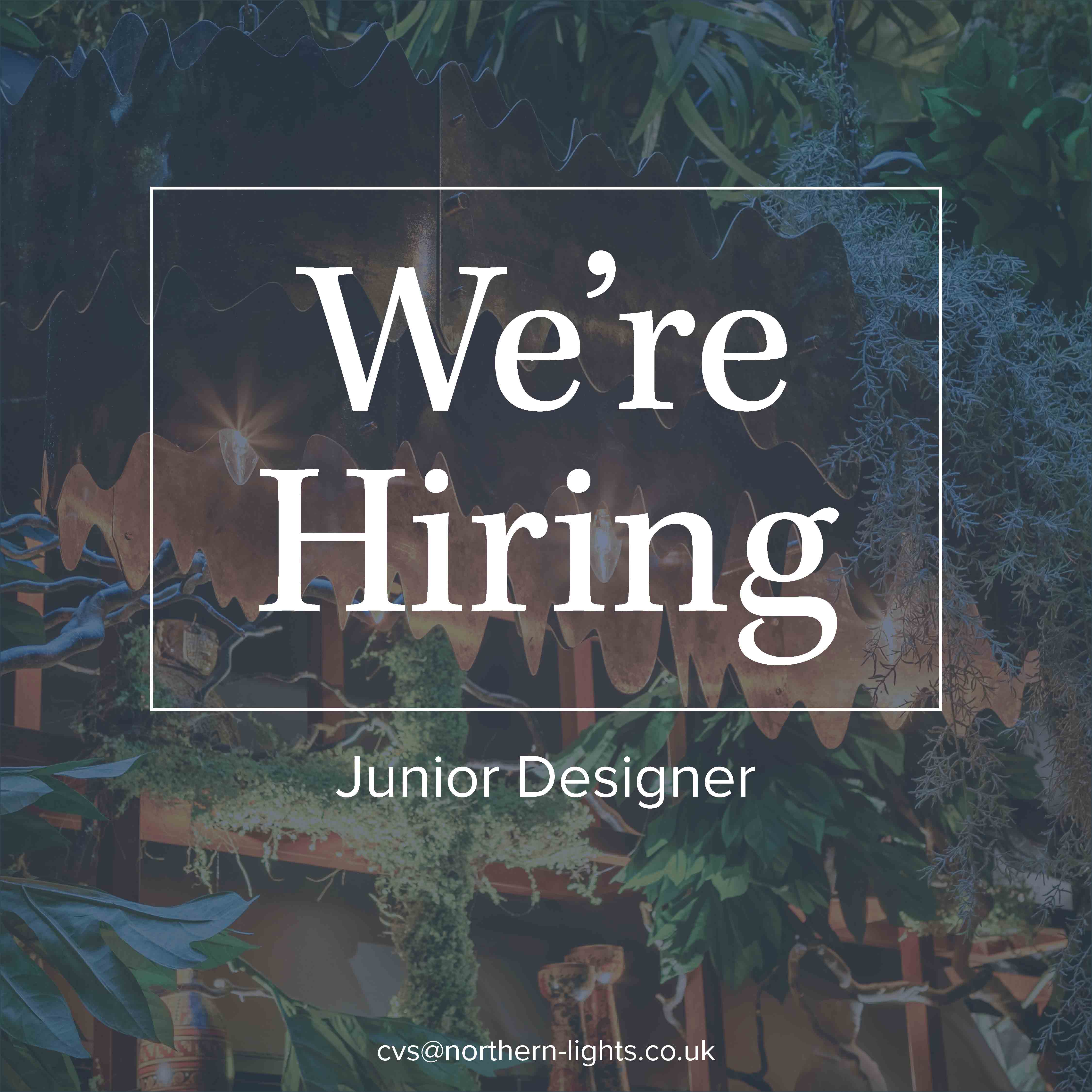 We're Hiring a Junior Designer!