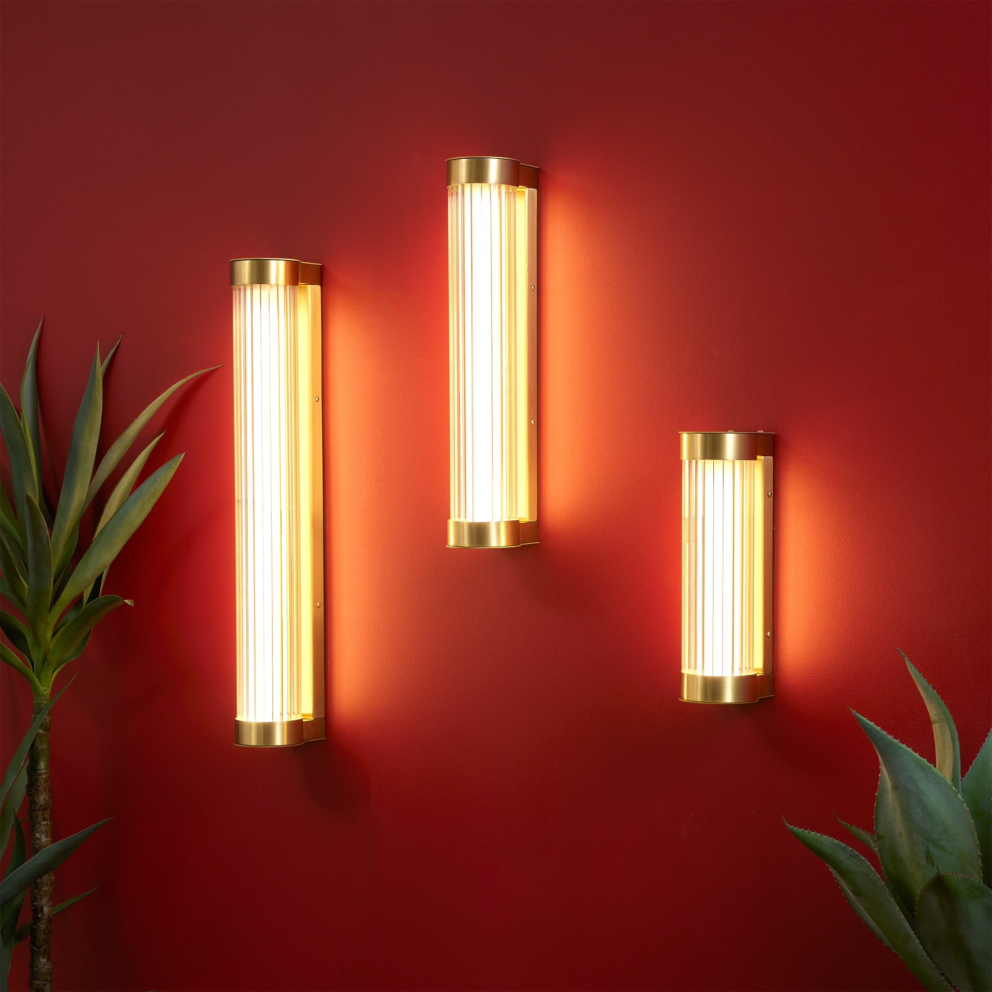 Clarity Wall Light Medium