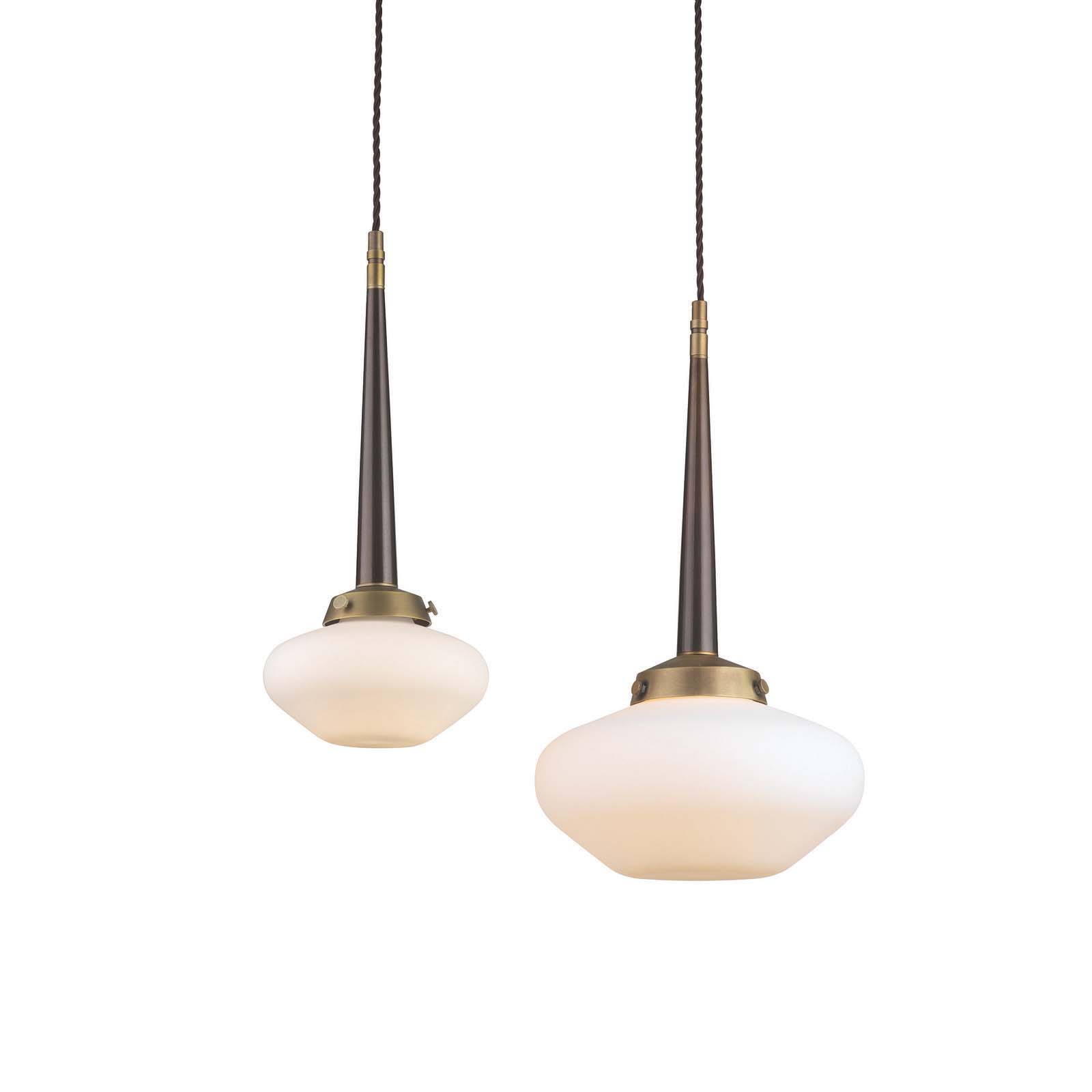 Hodgkin Pendant Large